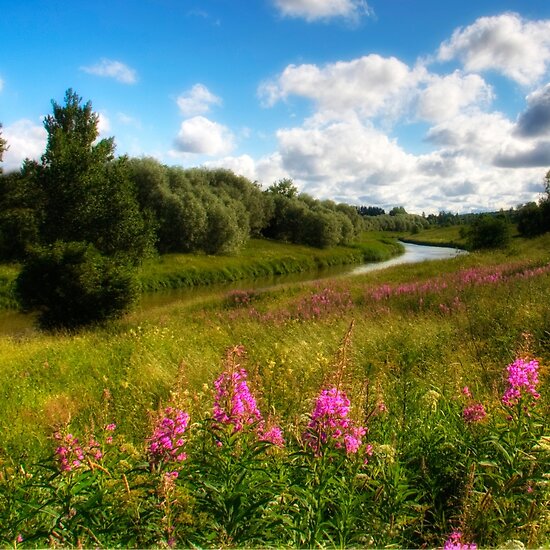 work.3391725.2.flat,550x550,075,f.river-banks-flower-meadow.jpg