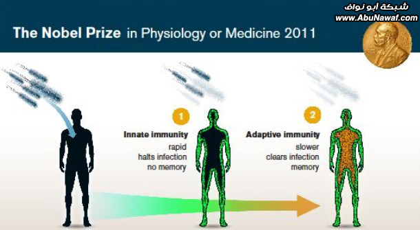 nobel-prize-thumb-610x335-50731.jpg