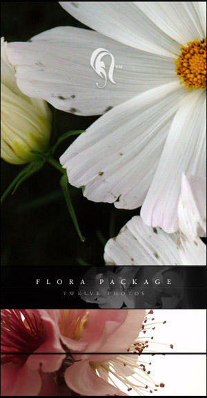 Package___Flora___5_by_resurgere.jpg