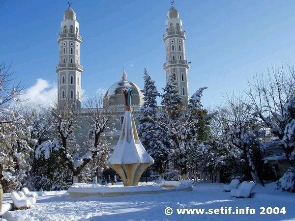 setif8zf.jpg