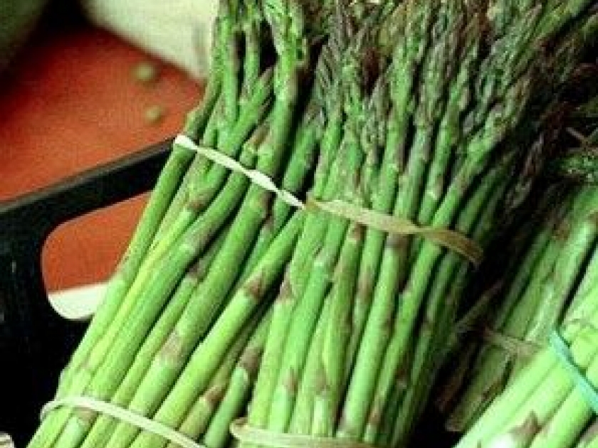 thumb-tout-savoir-sur-les-asperges--3822.gif