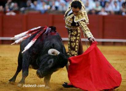 matador.bullfight.11.jpg