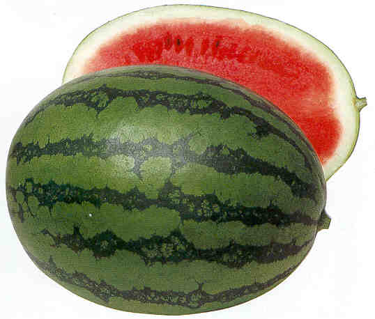 d7302watermelon.jpg