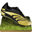 soccer-shoe-grass-icon.png