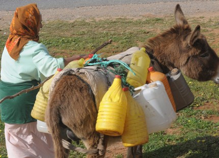 moroccanwomenagri.jpg