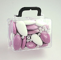 valise-pvc-transparent-parme-2.jpg