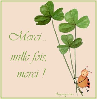 merci091-2f3907.jpg