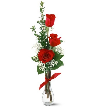 3-Red-Roses.jpg