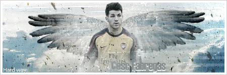 Cesc_Fabregase_by_hardway111.png