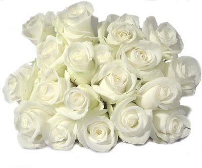 white+rose+2.jpg