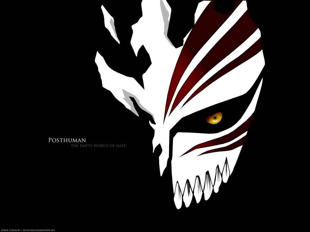 hollow-mask-bleach-anime-7344290-1024-768.jpg